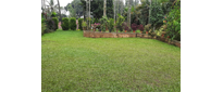 adamya homestay