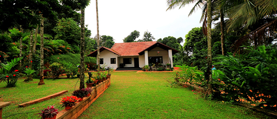 adamya homestay